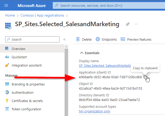 Screenshot of Application (client) ID