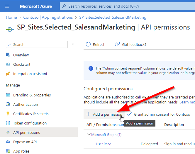 Screenshot of how to add the API permission to the App registration